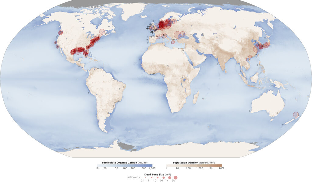 ocean dead zones created by dairy and animal agriculture nasa data map
