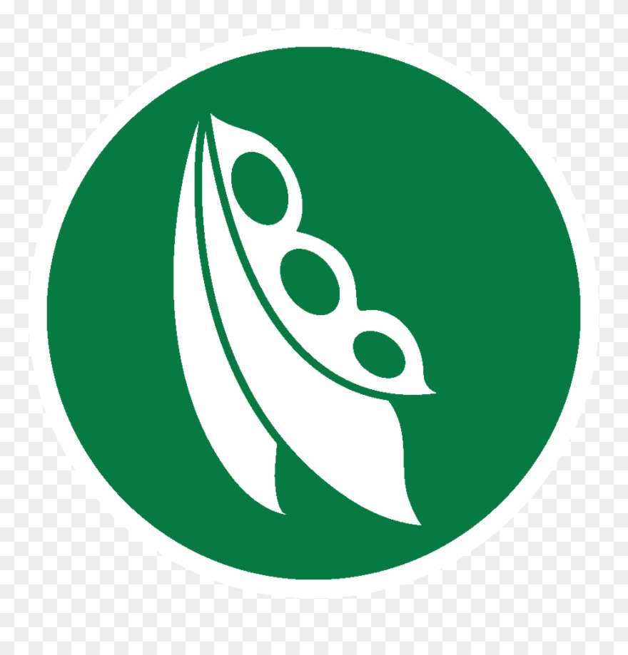 soybean oil icon