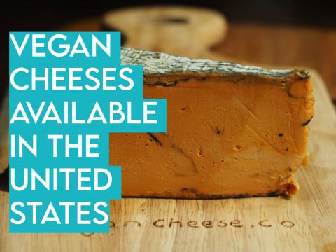 Every Vegan Cheese Available in the United States of America