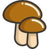 fungi icon